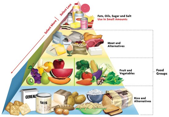 How to make Singapore local dishes healthier?: Healthy Diet Pyramid